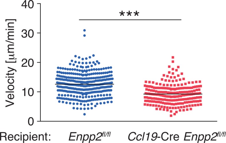 Figure 3—figure supplement 1.