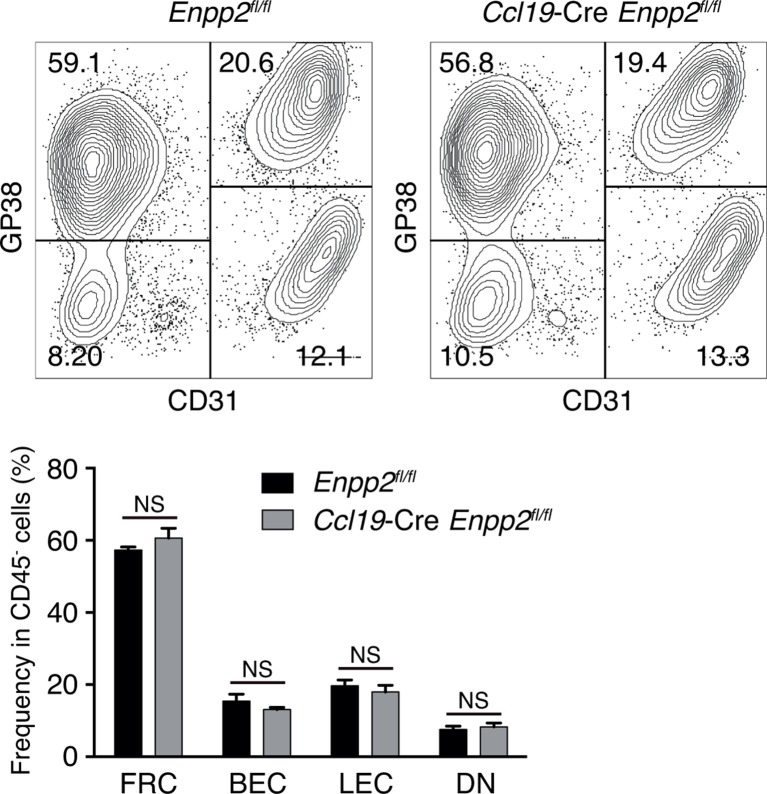 Figure 2—figure supplement 1.