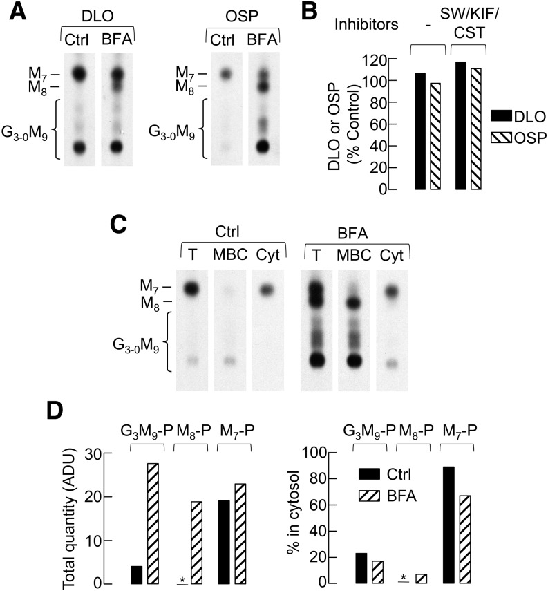 Fig. 8.