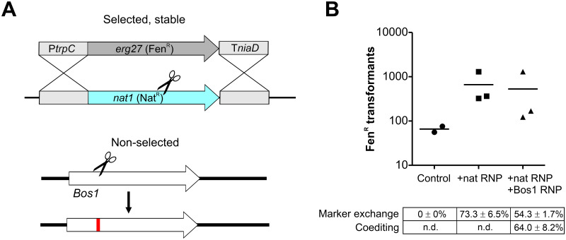 Fig 4