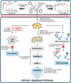 Figure 10