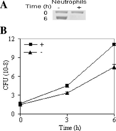 FIG. 5.