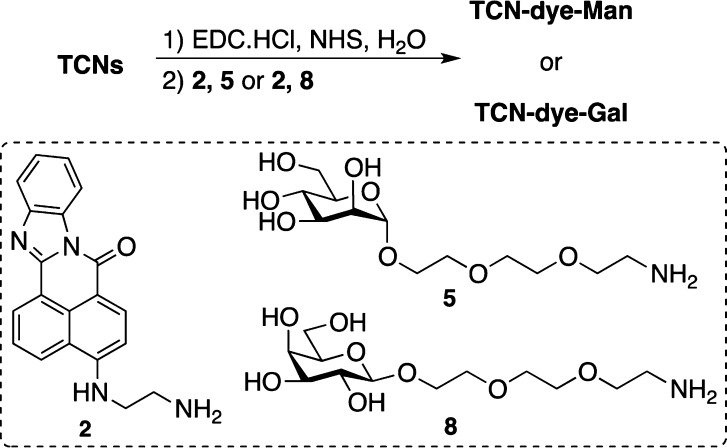 Scheme 2