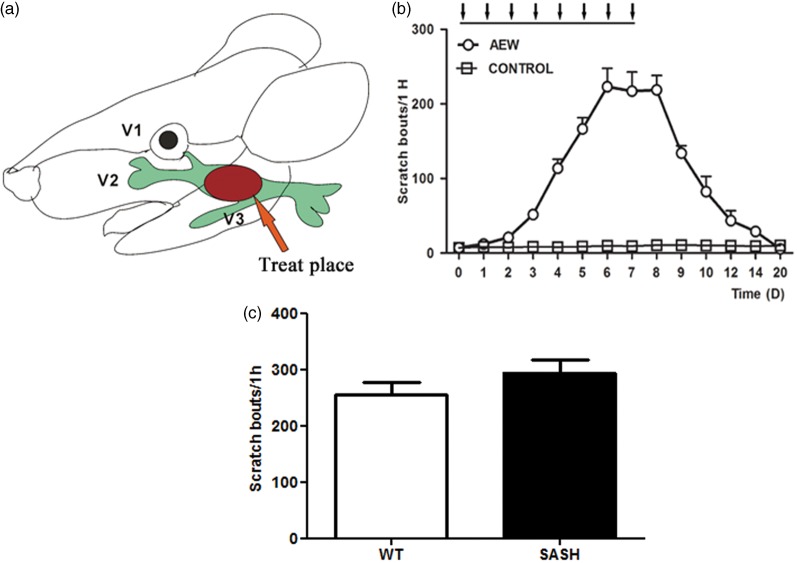 Figure 1.