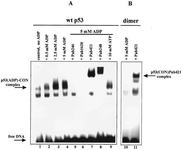 FIG. 6