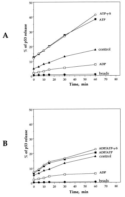 FIG. 5