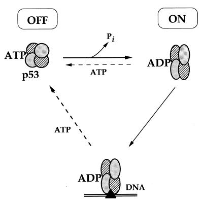 FIG. 7