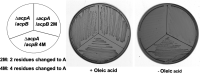 FIG 7