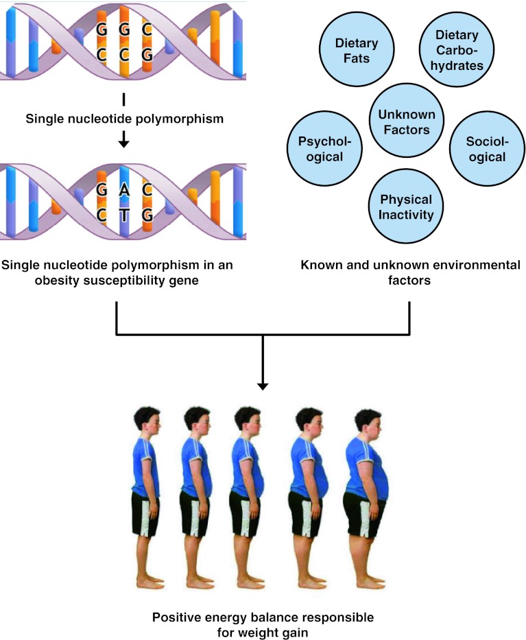 Fig. 3