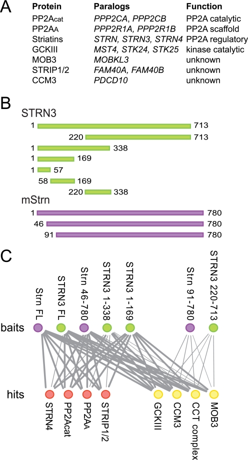 FIGURE 1.