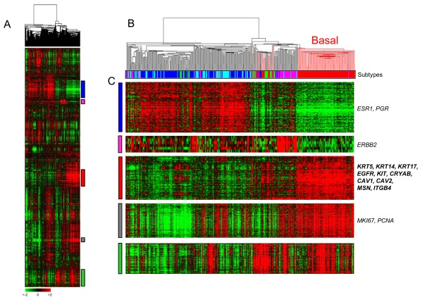 Fig. (1). Whole-genome clustering and molecular subtypes.