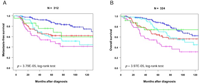 Fig. (3). Survival according to molecular subtypes.