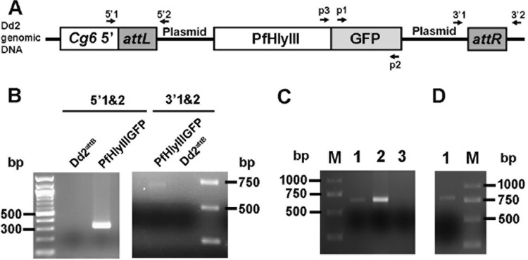 FIG 6