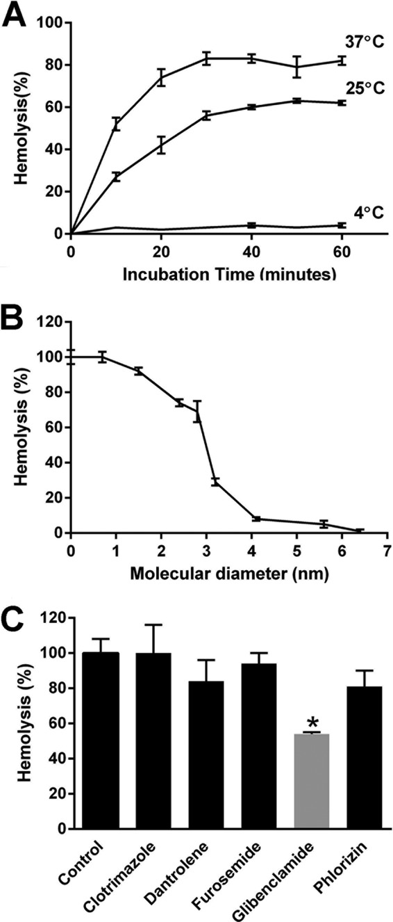 FIG 2