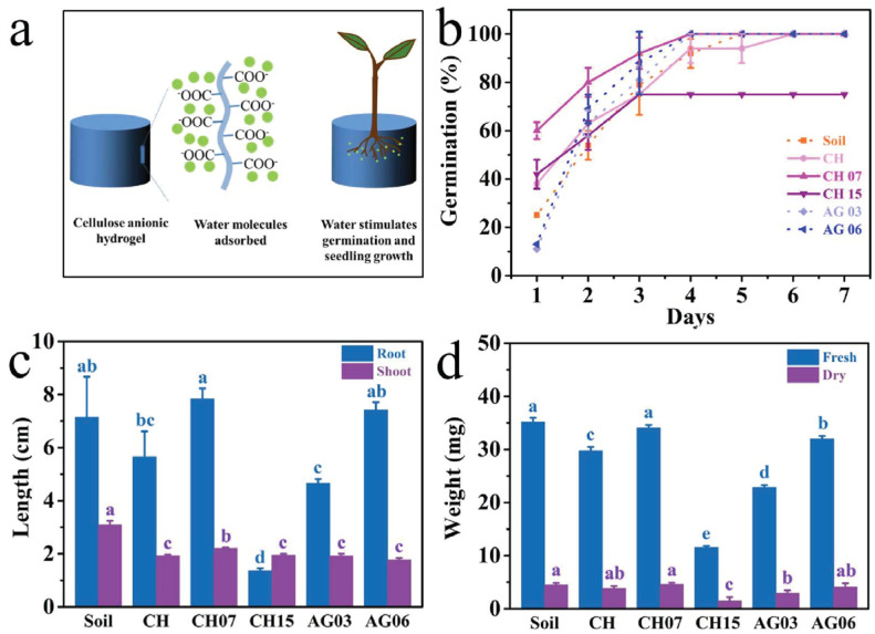 Figure 24