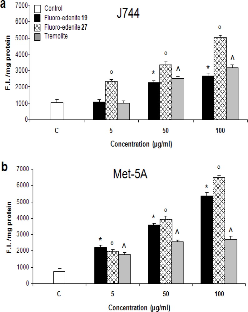 Figure 3: