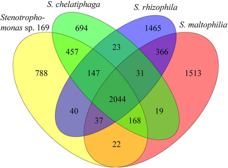 FIGURE 3