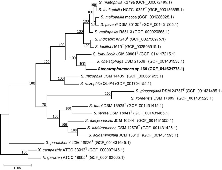 FIGURE 4