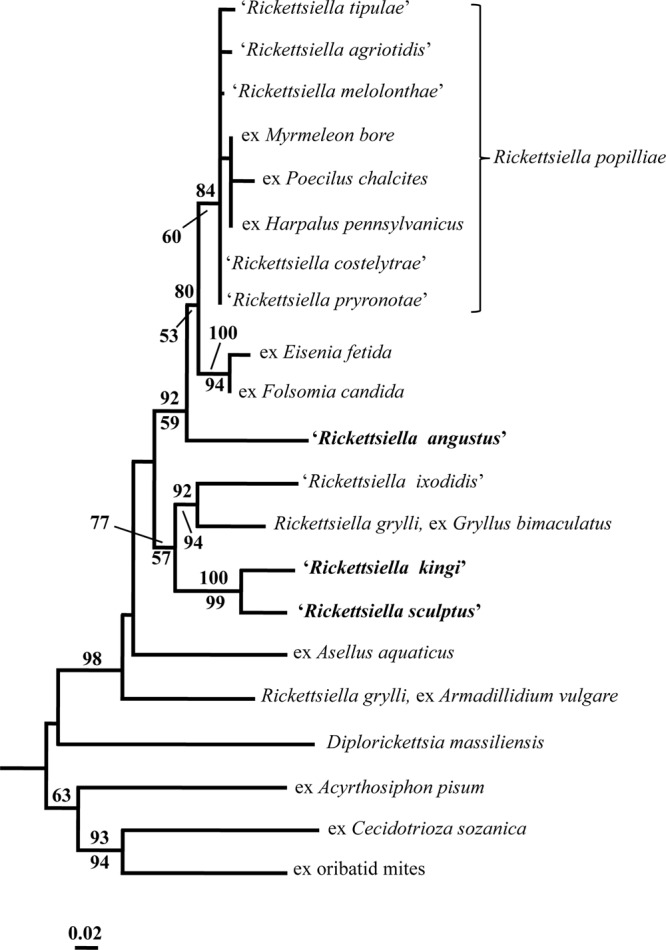 FIG 2