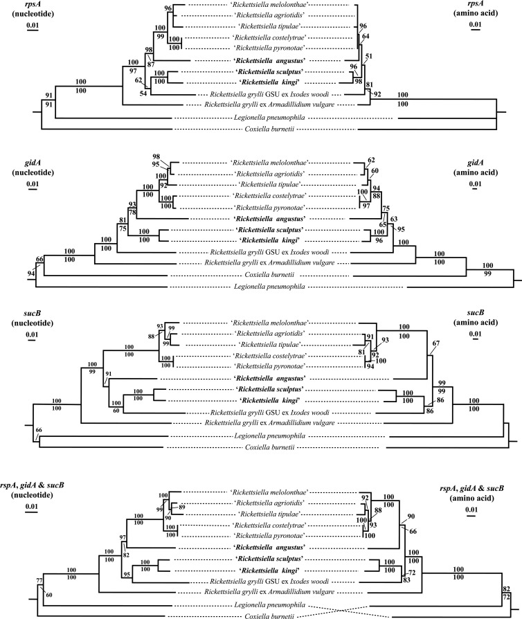 FIG 3