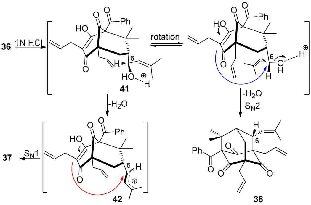 Scheme 9