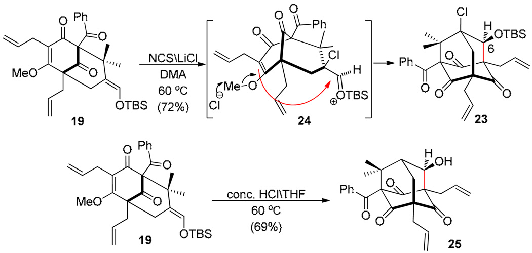 Scheme 5