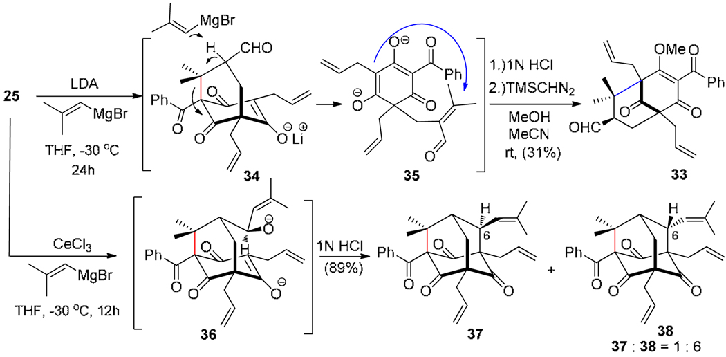 Scheme 7