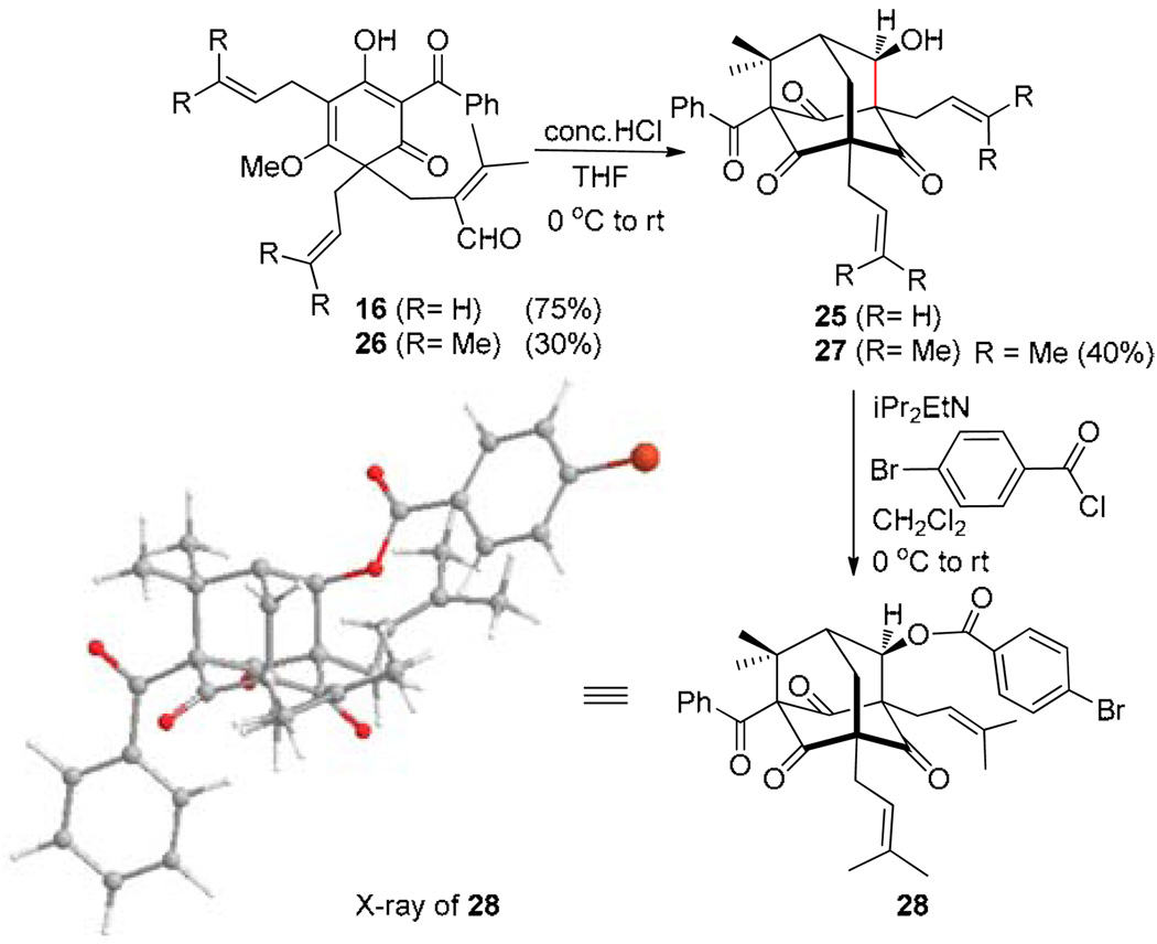 Scheme 6