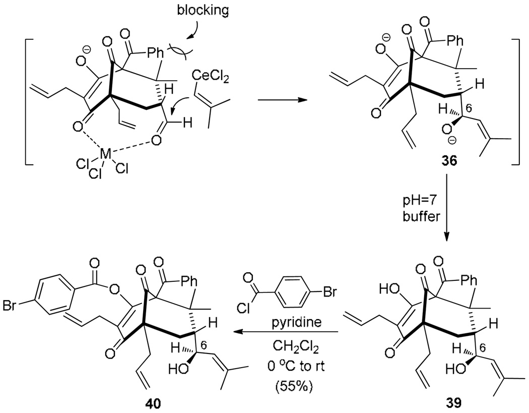 Scheme 8