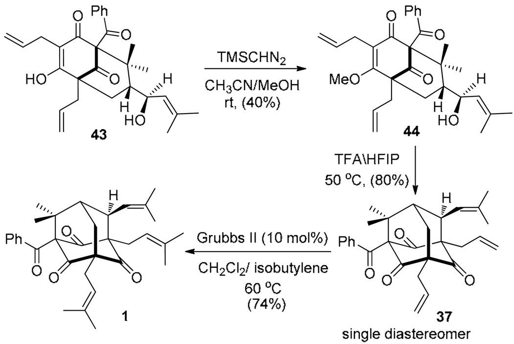 Scheme 10