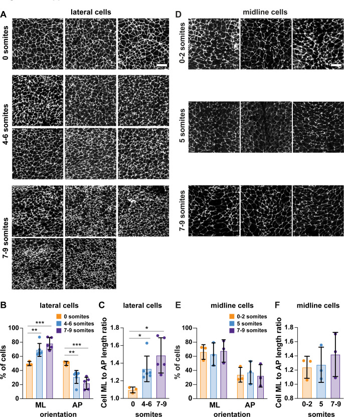 Figure 2—figure supplement 1.