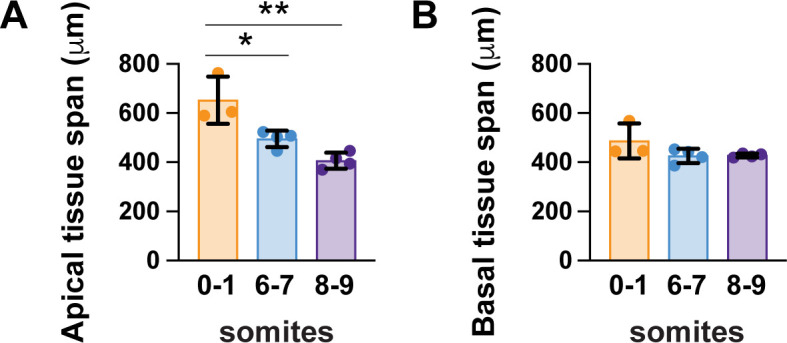 Figure 3—figure supplement 1.