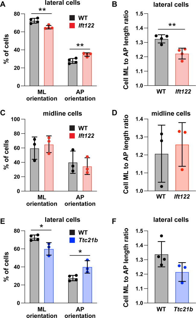 Figure 4—figure supplement 4.