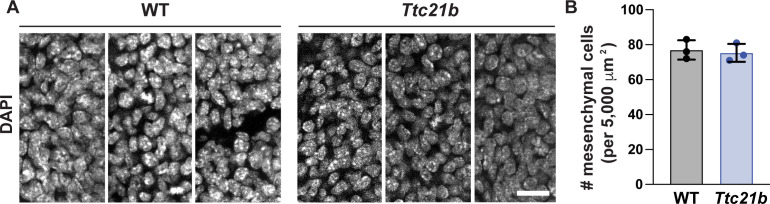 Figure 4—figure supplement 6.