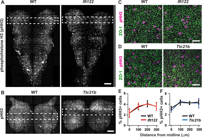 Figure 4—figure supplement 5.