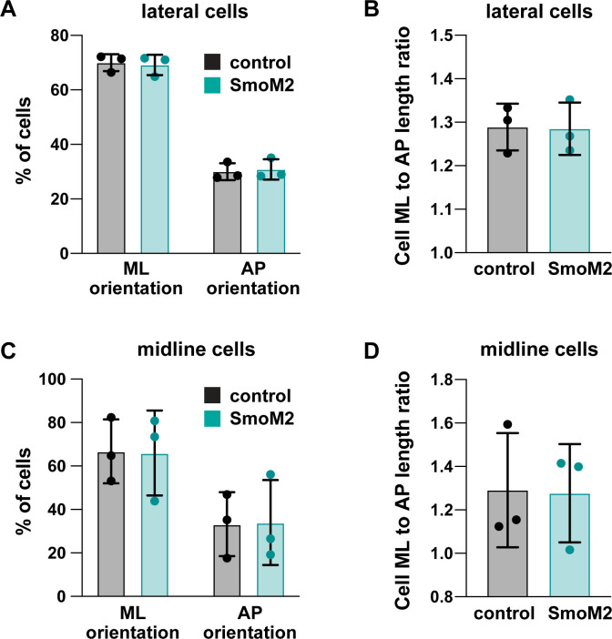 Figure 9—figure supplement 2.