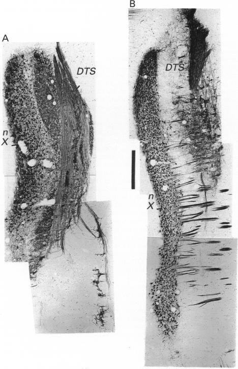 Fig. 4 (cont.)