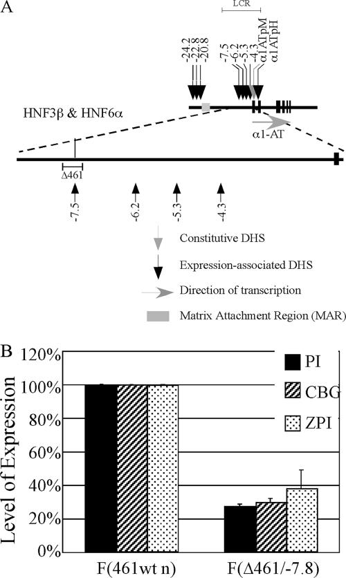 FIG. 5.