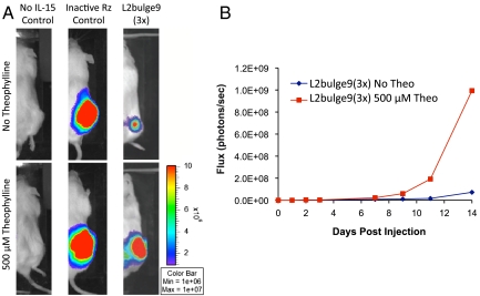 Fig. 4.