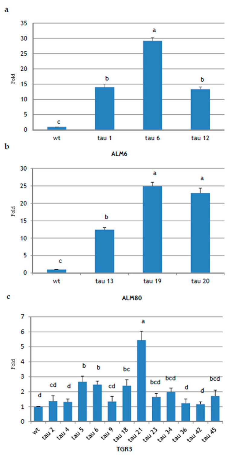 Figure 5