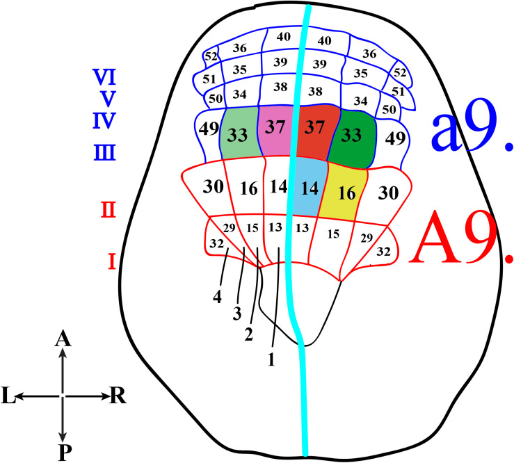 FIGURE 2