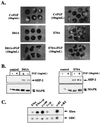 FIG. 7