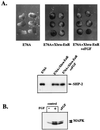 FIG. 6