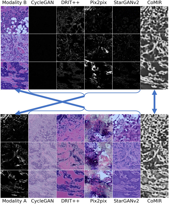 Fig 6