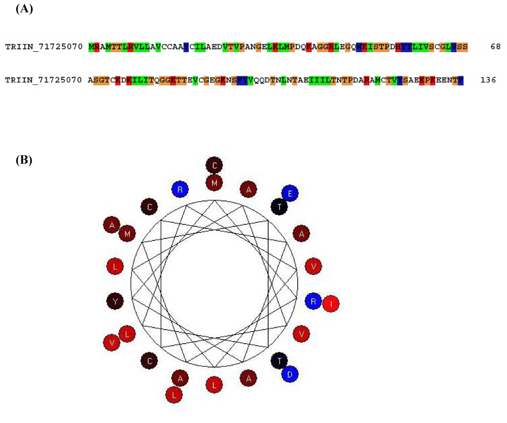 Figure 11