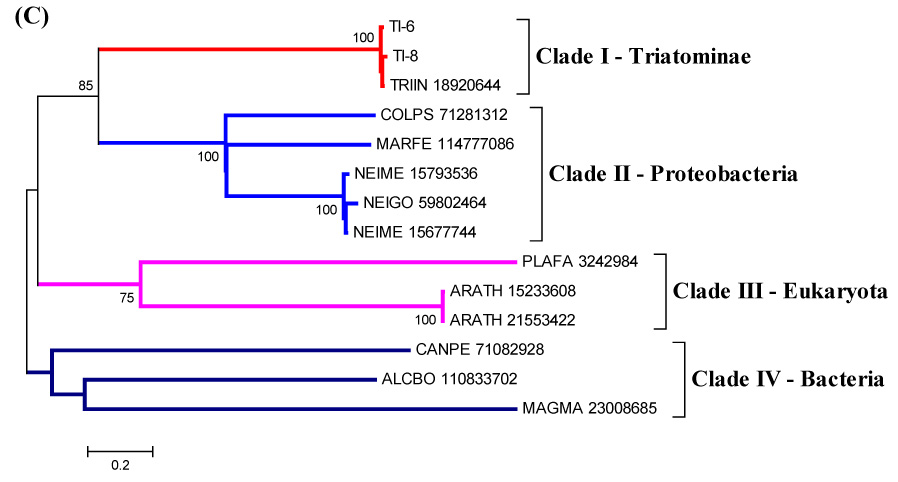 Figure 9