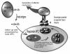 <i>Figure 3</i>