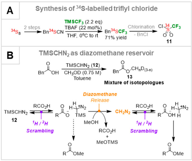 Scheme 2