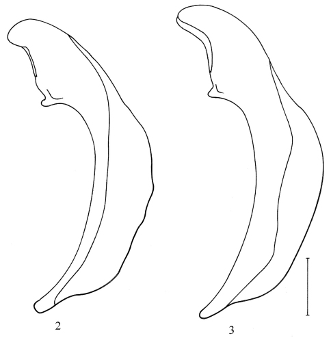 Figures 2–3.