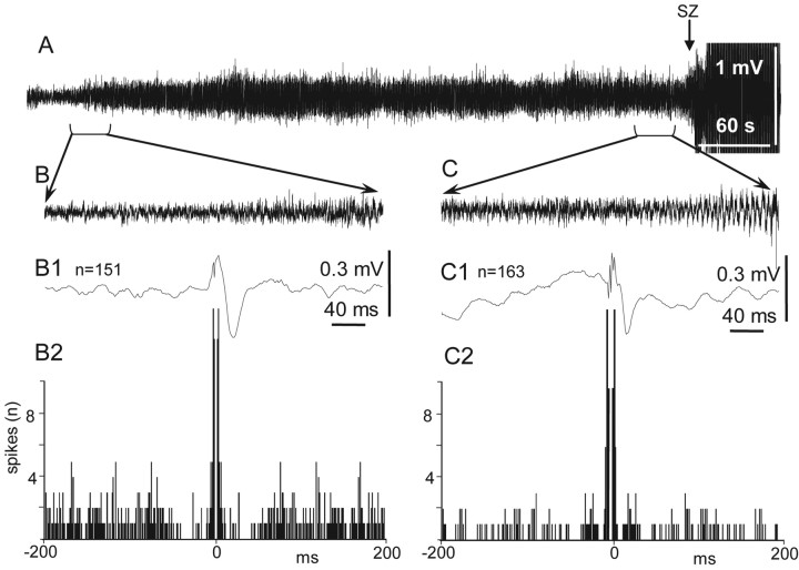 Figure 10.